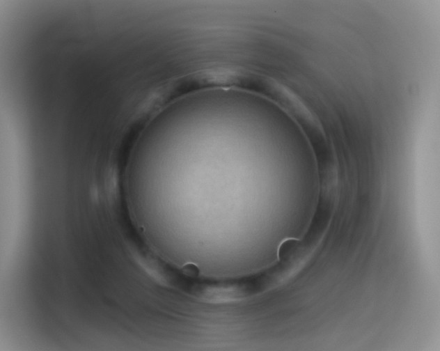 X0000114670213200910211157