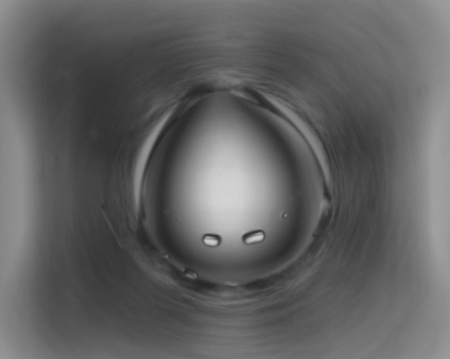 X0000114670215200910211157