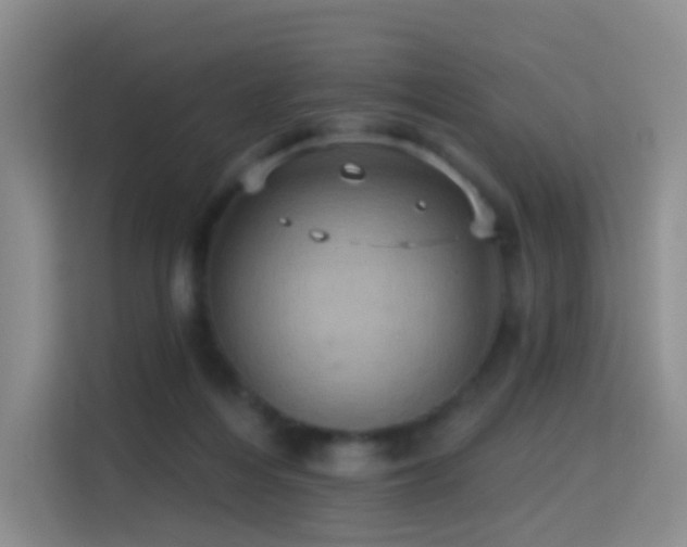 X0000114670216200910211157