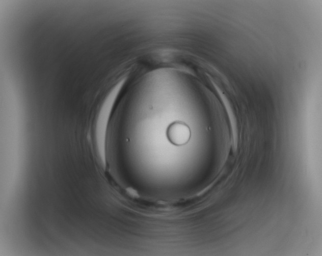 X0000114670217200910211157