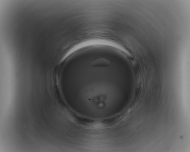 X0000114670219200910211157