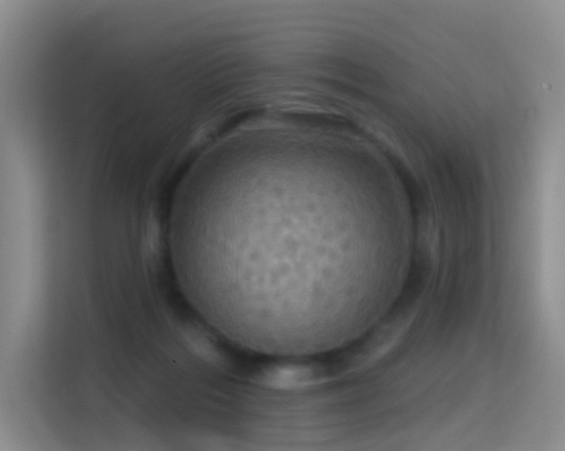 X0000114670220200910211157