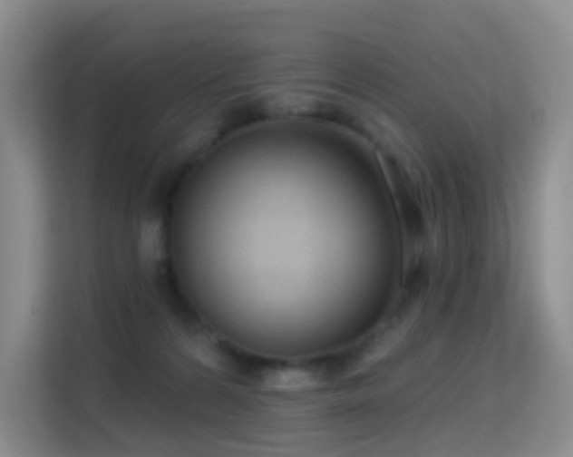 X0000114670224200910211157