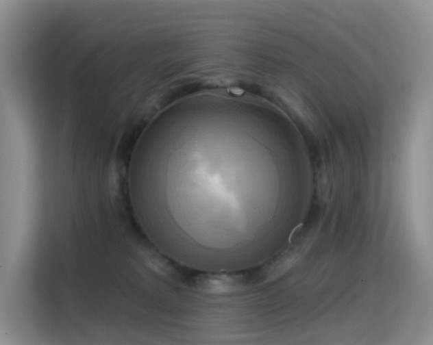 X0000114670229200910211156