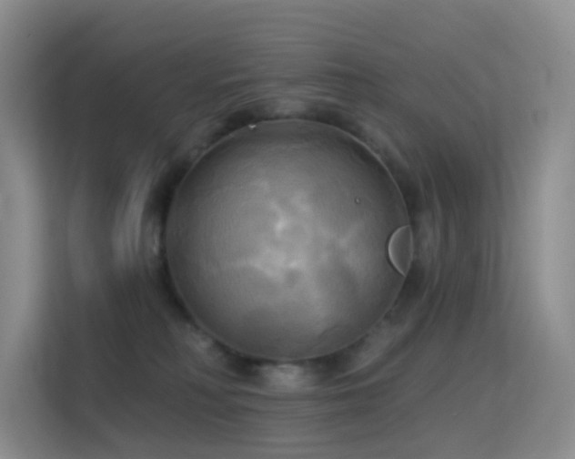 X0000114670230200910211156