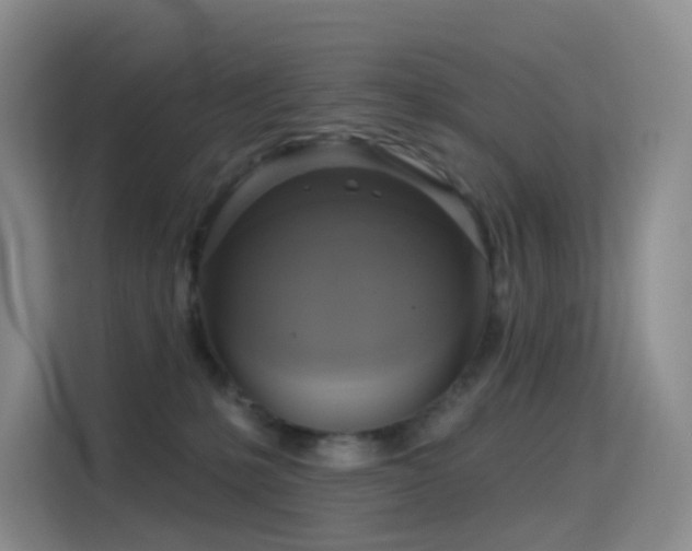 X0000114670231200910211156