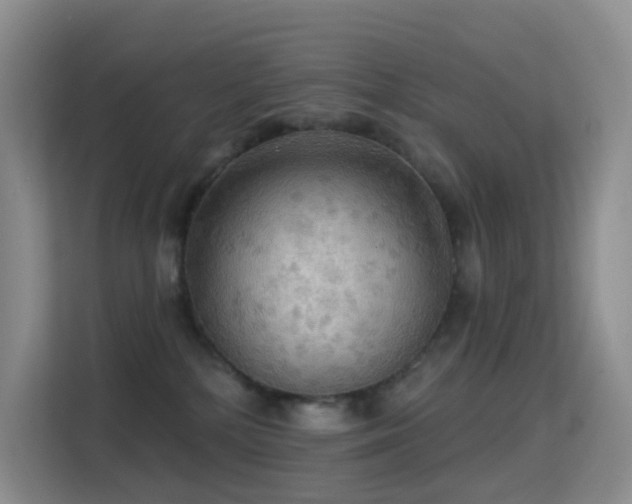 X0000114670232200910211156