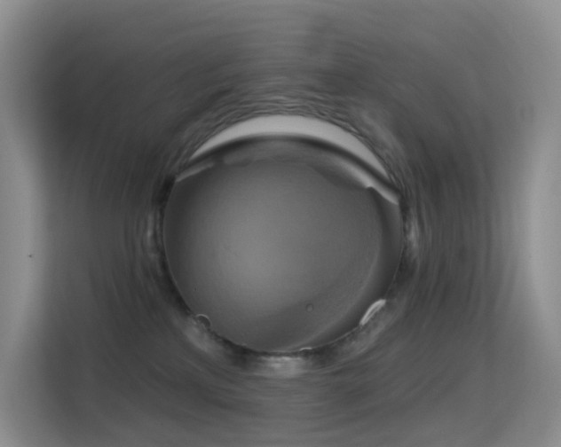 X0000114670233200910211156