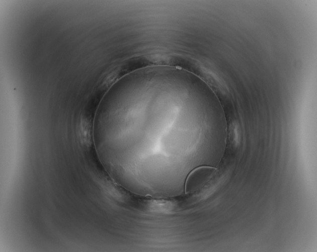 X0000114670234200910211156