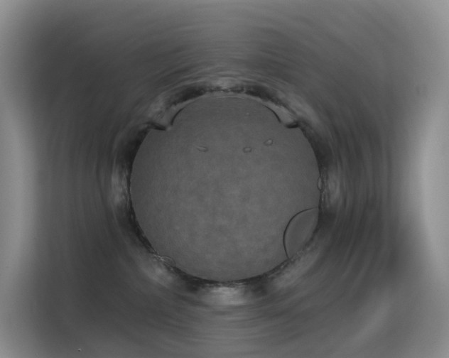 X0000114670236200910211156