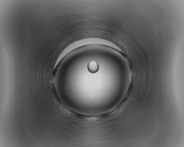 X0000114670237200910211156