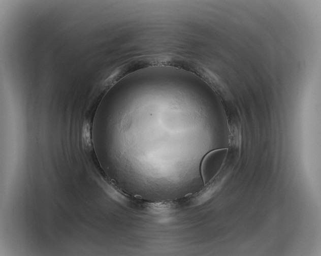 X0000114670238200910211156