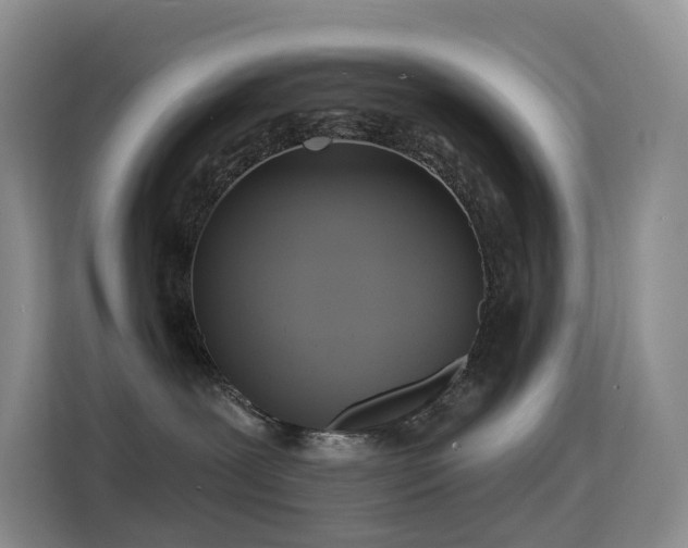 X0000114670239200910211156