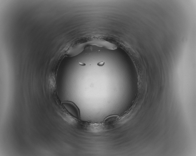 X0000114670240200910211156