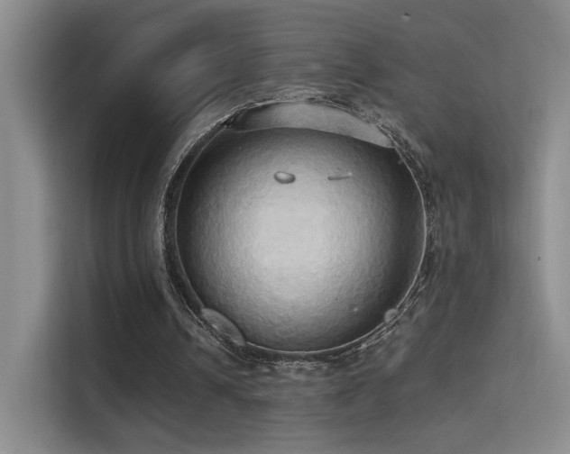 X0000114670242200910211156