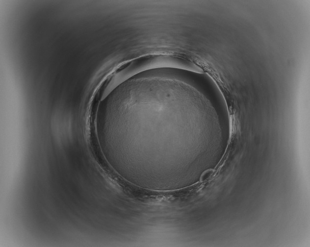 X0000114670243200910211156