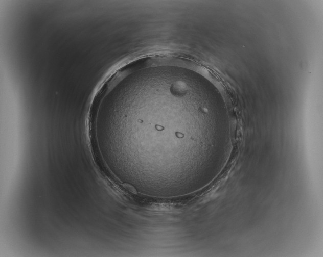 X0000114670244200910211156