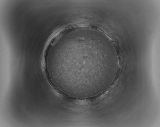 X0000114670245200910211156