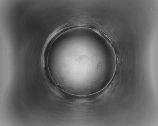 X0000114670246200910211156