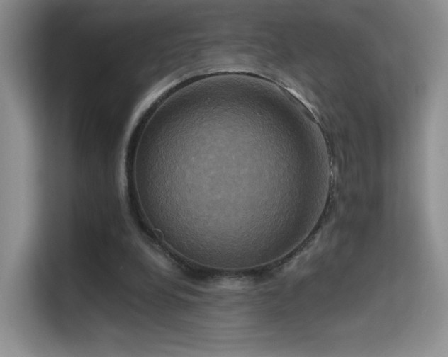 X0000114670248200910211156