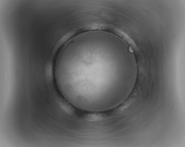 X0000114670250200910211156