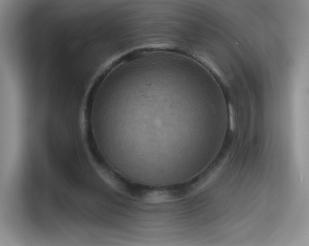 X0000114670252200910211156