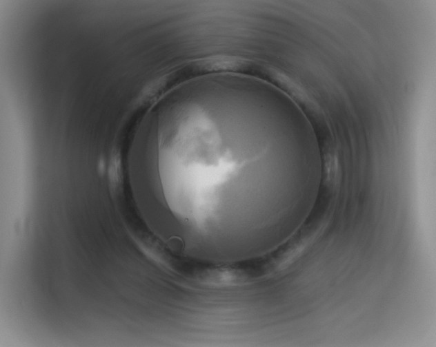 X0000114670254200910211156