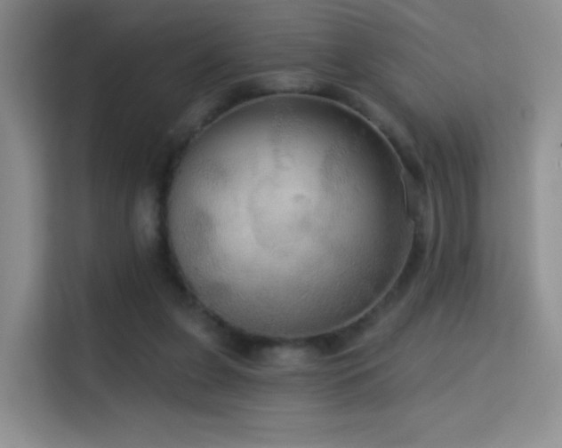 X0000114670255200910211156