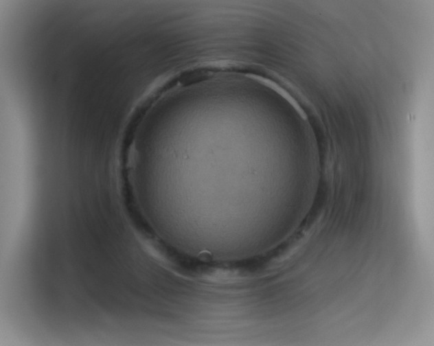 X0000114670256200910211156