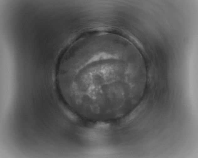 X0000114670257200910211156