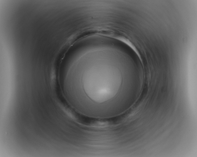 X0000114670260200910211156