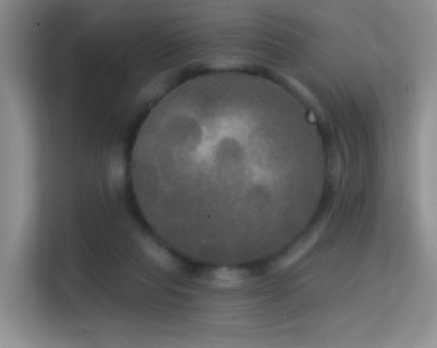 X0000114670261200910211156