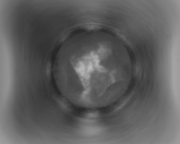 X0000114670263200910211156