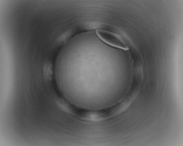 X0000114670264200910211156