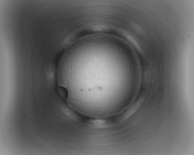 X0000114670265200910211156