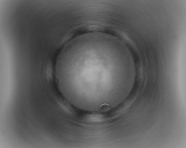 X0000114670266200910211156