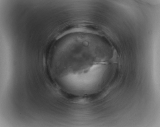 X0000114670267200910211156