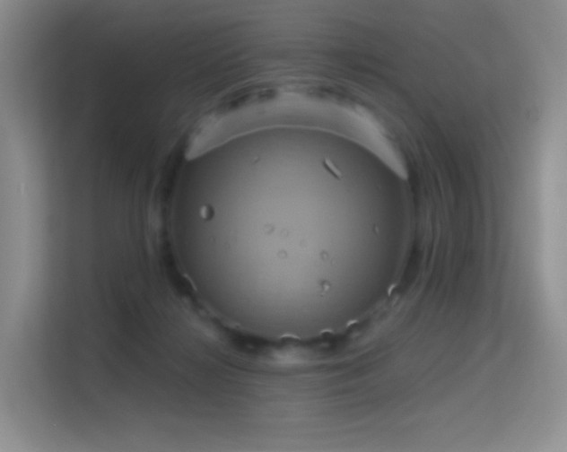 X0000114670268200910211156