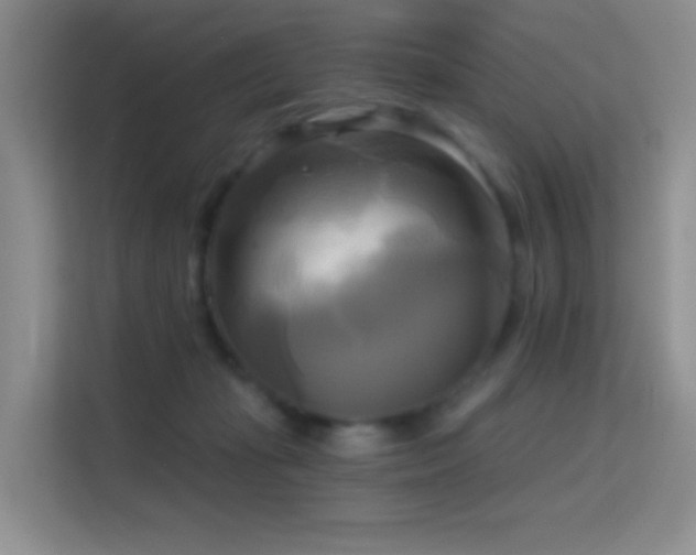 X0000114670269200910211156