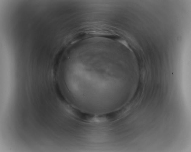 X0000114670270200910211156