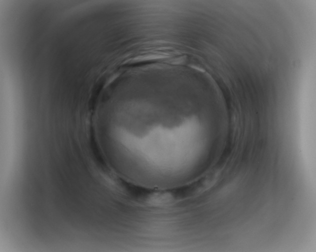 X0000114670271200910211156