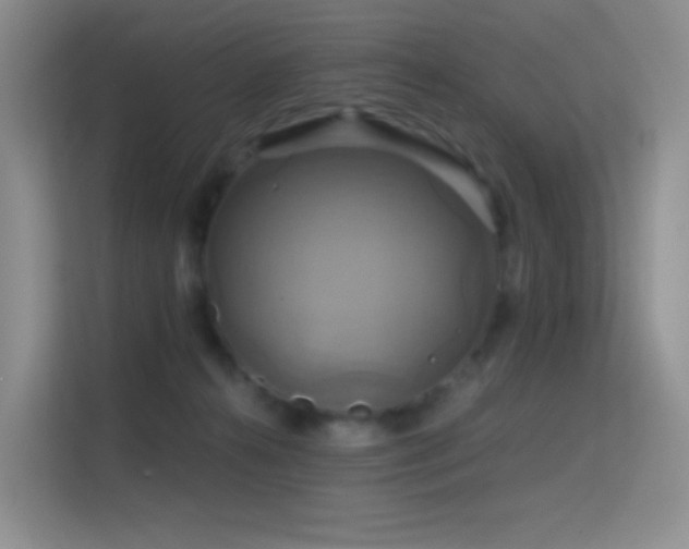 X0000114670272200910211156