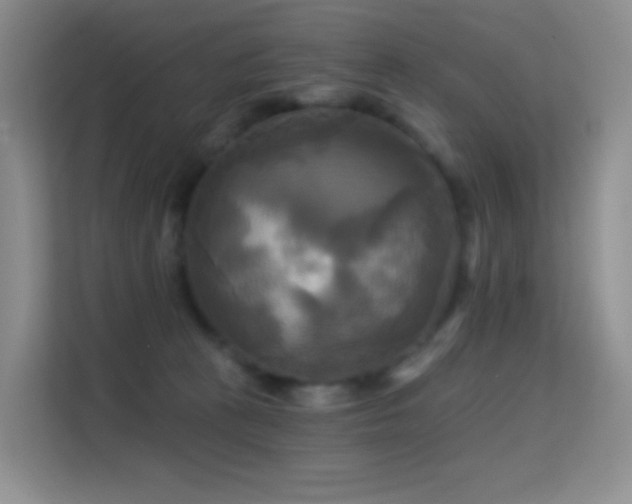 X0000114670273200910211156