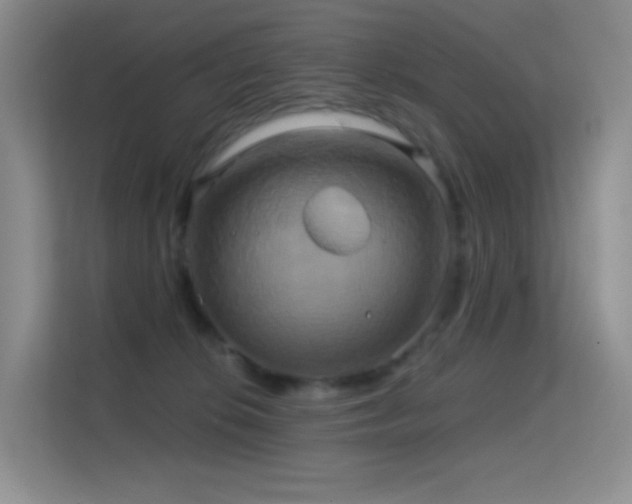 X0000114670276200910211156