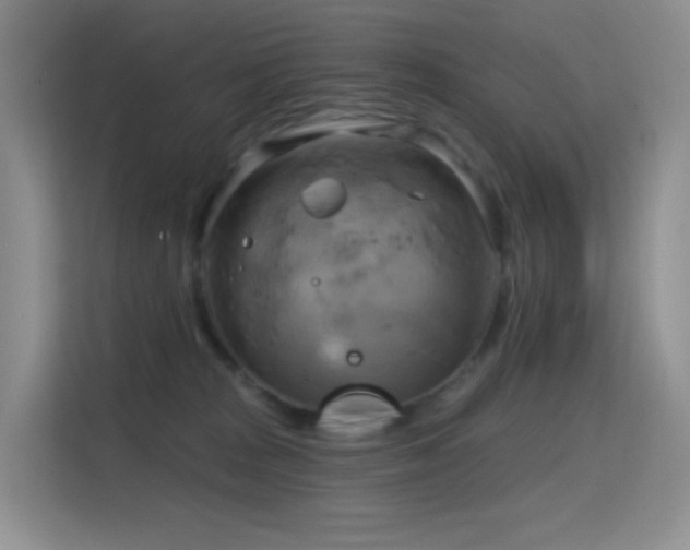 X0000114670277200910211156