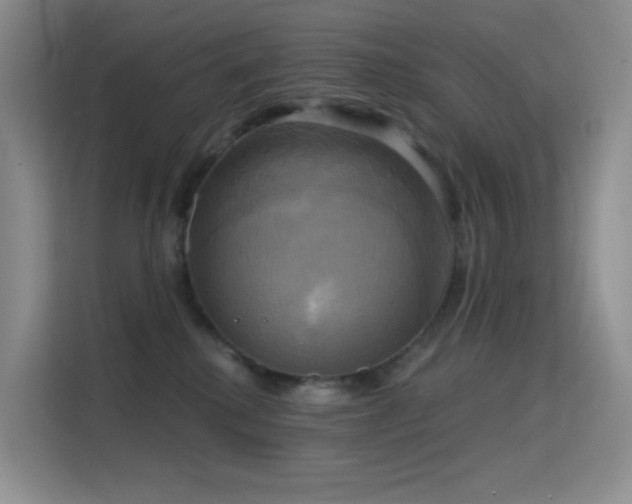 X0000114670280200910211156