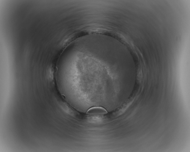 X0000114670282200910211156