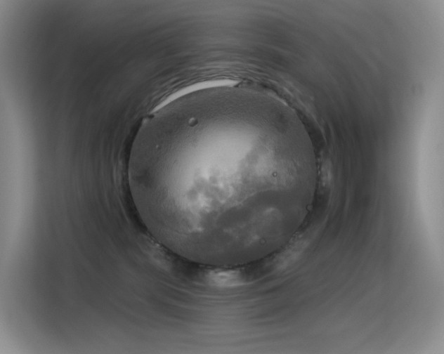 X0000114670283200910211156