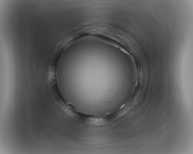 X0000114670284200910211156