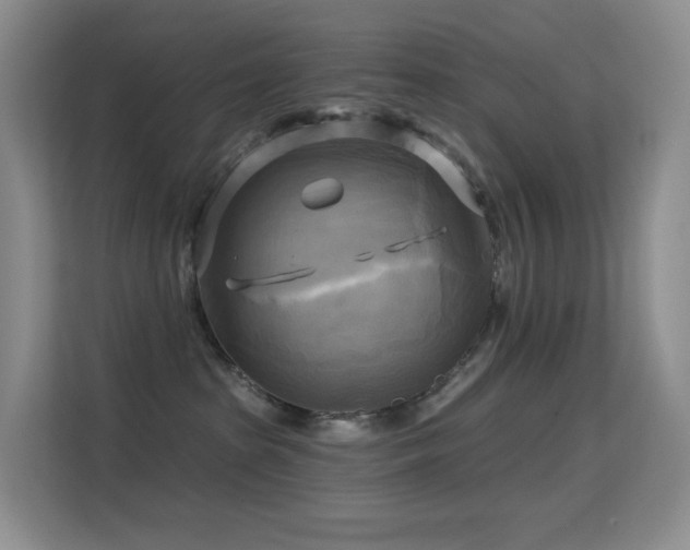 X0000114670285200910211156